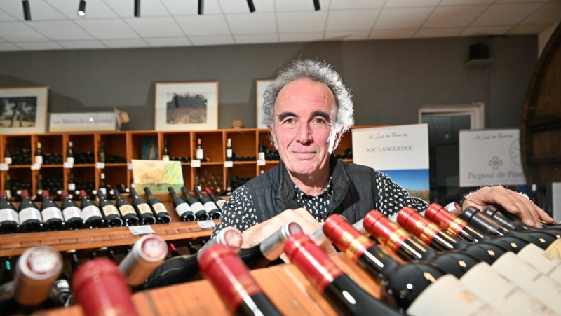 Wine is his life: Jean-Philippe Granier, 35 years of life dedicated to the defense of the AOP Languedoc