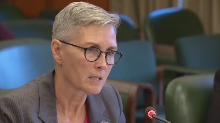 Mary Ellen Turpel-Lafond is no longer a member of the Order of Canada | Indigenous identity, a complex issue