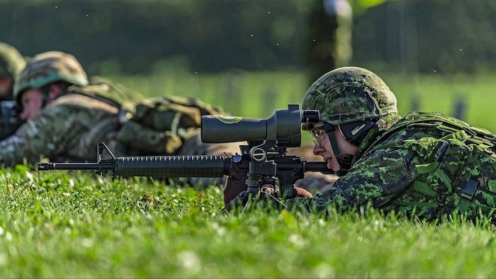 Armed Forces major accused of importing ; firearms prohibited in Canada