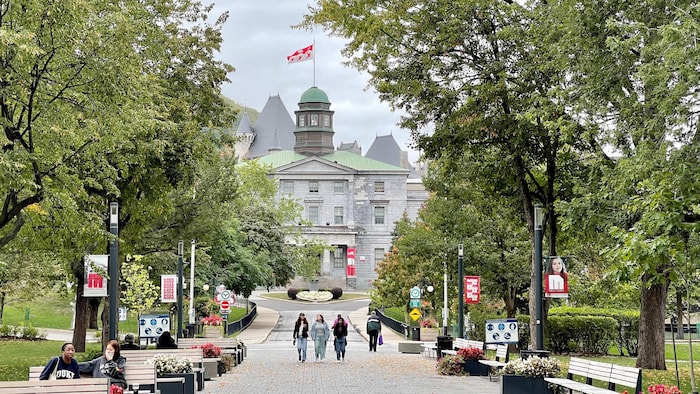 Gaza: a student policy of McGill University suspended by the Superior Court | Middle East, the eternal conflict