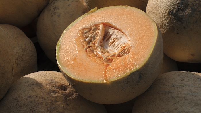 Contaminated cantaloupes: a Montrealer files a lawsuit