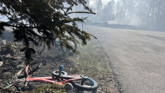 Halifax wildfire: not criminal, RCMP say | Forest fires 2023