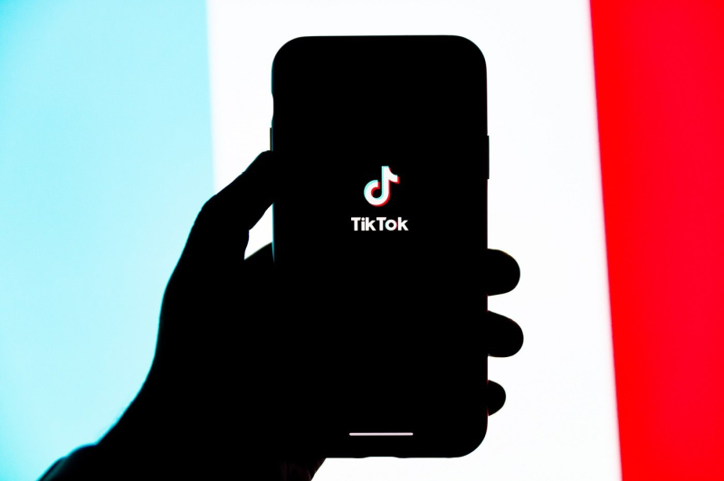 Why TikTok and LVMH could work together ?