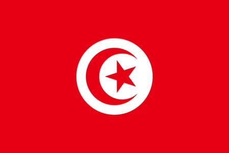 South Africa - Tunisia: the Eagles of Carthage take the door from the pools! The match summary