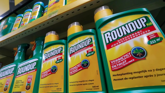 Roundup: Monsanto ordered to pay US$2.25 billion
