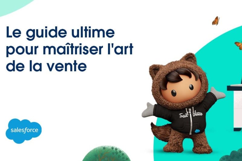 Salesforce: this free guide gives you tips for successful sales