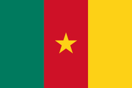 DIRECT. Gambia - Cameroon: the Indomitable Lions close to elimination... follow the match