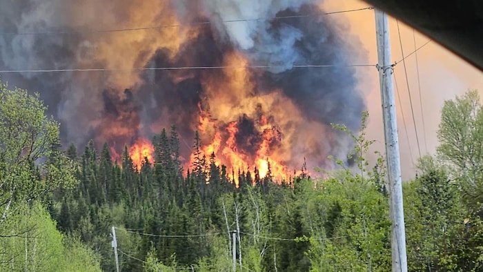 Conviction of arsonist reignites misinformation about forest fires