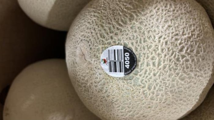 A 3rd class action brought over cantaloupes contaminated with salmonella