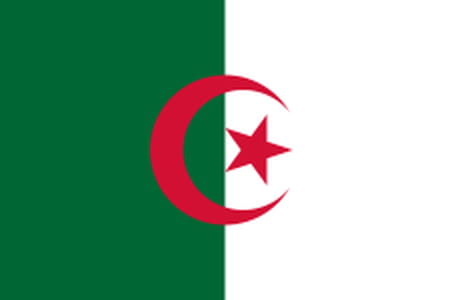DIRECT. Algeria - Angola: the Greens are trapped... follow the match