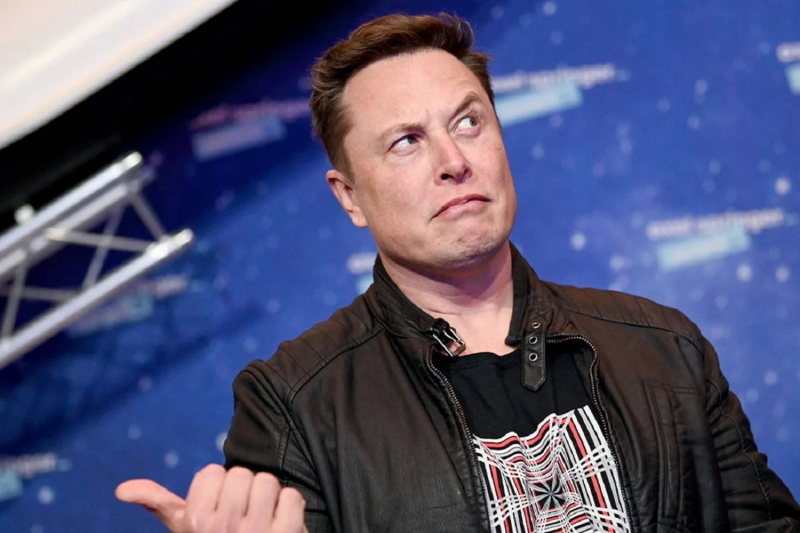 Is Elon Musk overrated ? The surprising opinion of these great CEOs