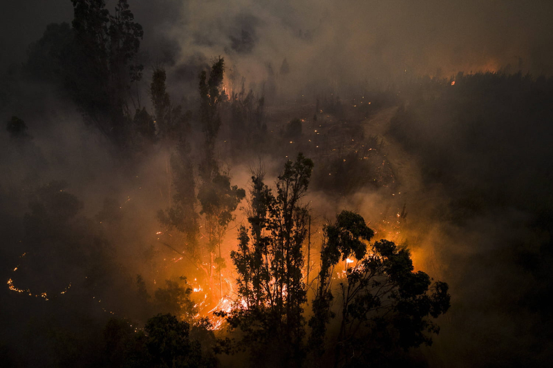 Fires in Chile: dozens dead, striking images