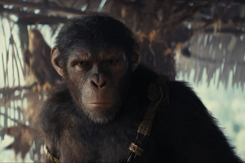 Planet of the Apes: 4 things to know about The New Kingdom
