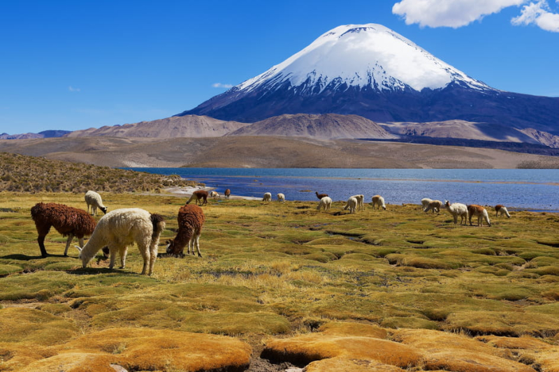 Chile voted best green destination 2024: here are the 20 natural wonders to discover