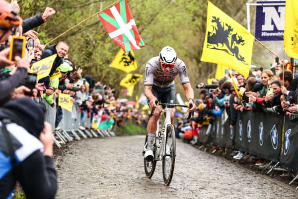 DIRECT. Tour of Flanders 2024: van der Poel as lord, summary and ranking