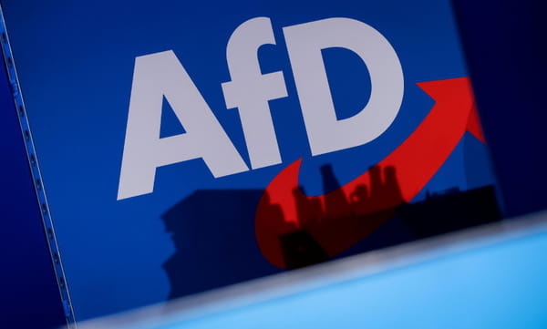 Assistant to AfD MEP suspected of spying for Beijing