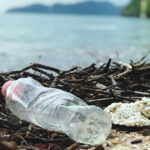 Could this new material save us from plastic pollution ?
