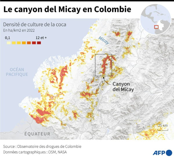 In Colombia, the canyon of cocaine and guerrilla warfare that threatens peace