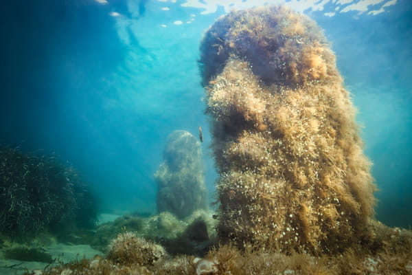 Diving in this French bay, we discover mysterious statues submerged 5 meters deep