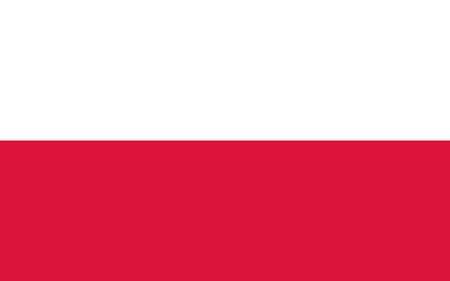 EURO 2024. Poland – Austria: The Austrians’ beautiful ride