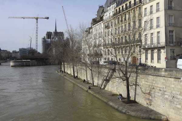 The Seine is indeed contaminated, a study points to a dangerous and unmonitored pollutant