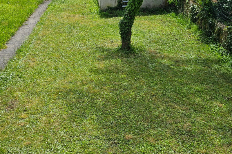 Dreame A1 robot lawn mower test: done with the chore of mowing!