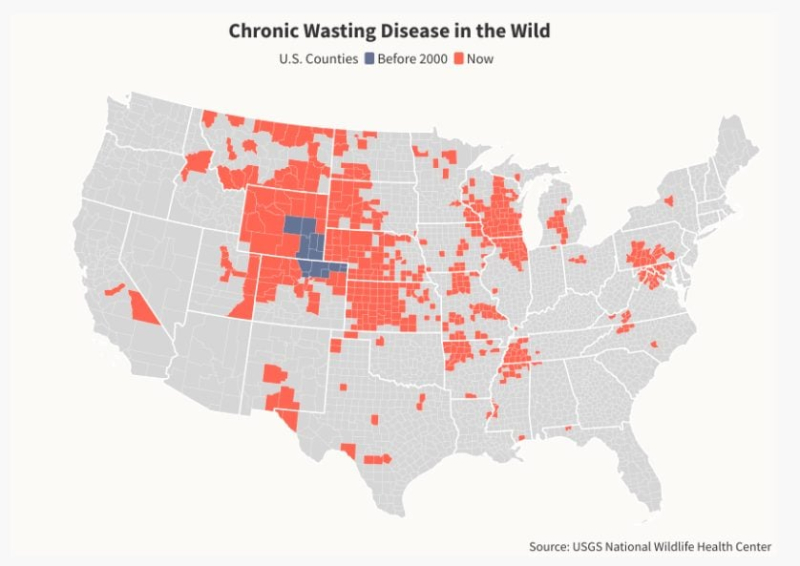 Zombie deer: the disease ravaging North America and worrying scientists