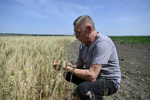 In Ukraine, women take over mine clearance