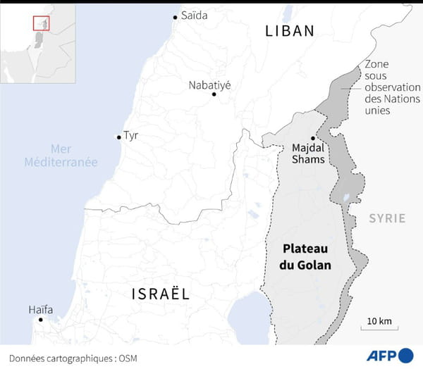 Israel vows to strike &#39;enemy with force&#39; after deadly strike on annexed Golan