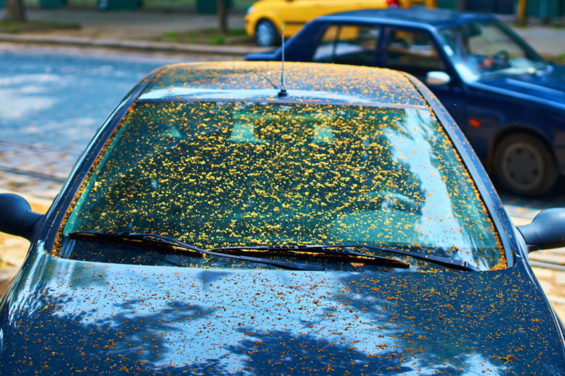 This product removes all sticky stains from cars and it doesn&#39;t cost much