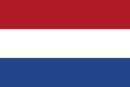 EURO 2024. Romania - Netherlands: the Dutch rely on an individual feat, follow the match