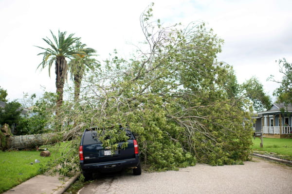 Winds, floods: storm Beryl hits the southern United States