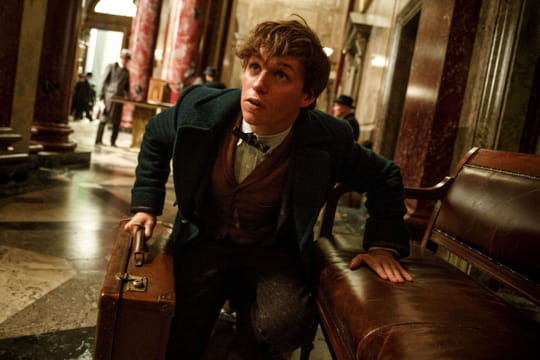 Fantastic Beasts: why the fourth film might never see the light of day