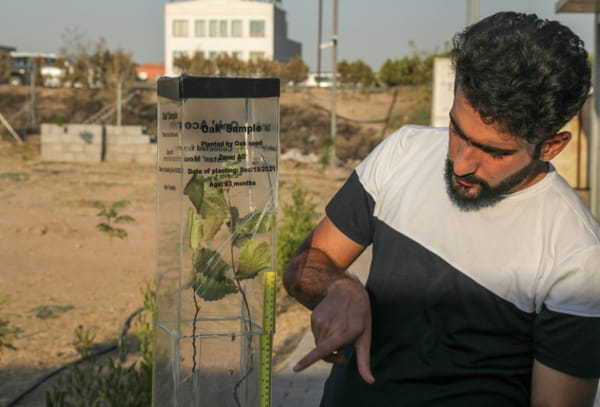 In Iraq, saving the forests of the iconic Kurdish mountain