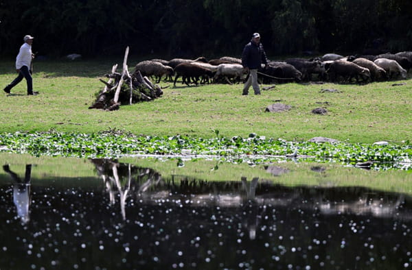 Mexico: Residents of an "environmental hell" regain hope