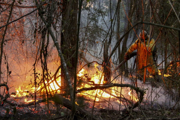 Brazil continues to fight fires