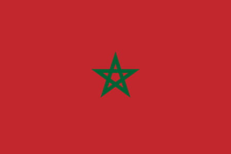 CAN 2025. Morocco - Gabon: follow the match live