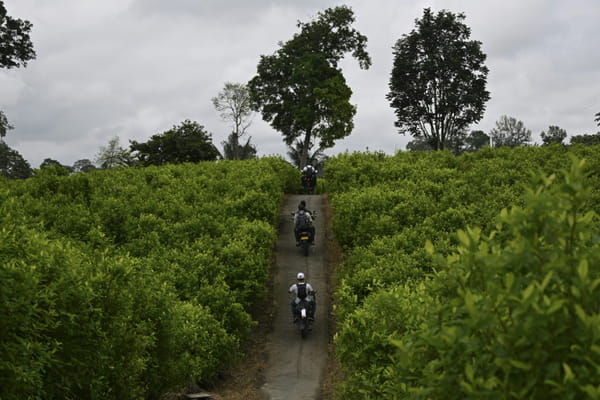 In Colombia, guerrillas reject an "express peace process"