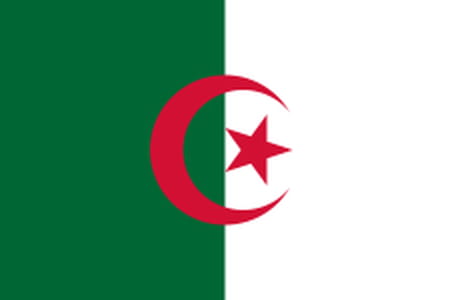 CAN 2025. Liberia - Algeria: seriously, the Fennecs avoid the Lone Stars trap!