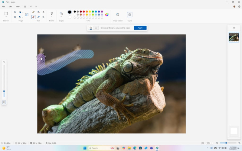 Microsoft is stocking up on new AI features for Copilot, Windows and... Paint