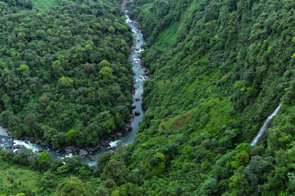 Awas Indigenous Peoples in Colombia: In the Face of Violence, "Connection" to Nature