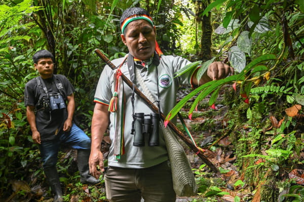 Awas Indigenous Peoples in Colombia: In the Face of Violence, "Connection" to Nature