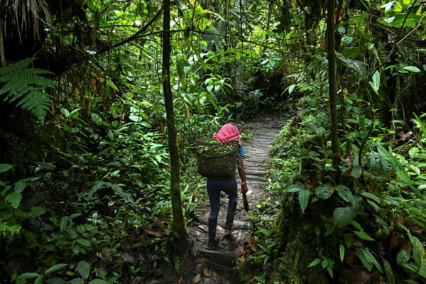 Awas Indigenous Peoples in Colombia: In the Face of Violence, "Connection" to Nature