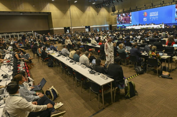 COP16 Biodiversity opens in Colombia