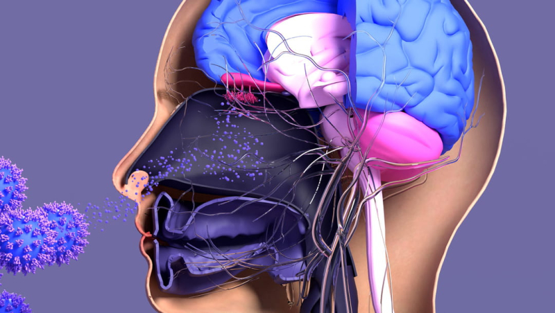 Picking your nose can be dangerous for your health, scientists warn of a fearsome bacteria