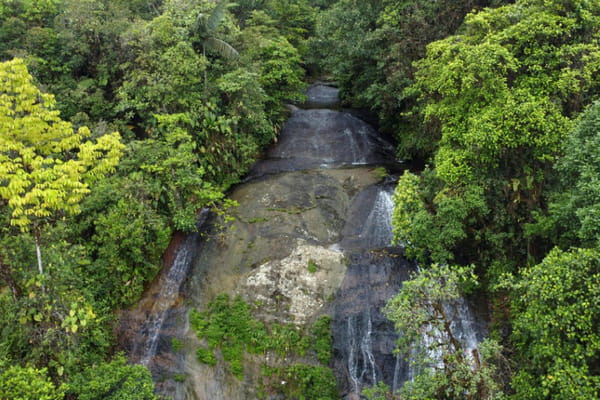 Awas Indigenous Peoples in Colombia: In the Face of Violence, "Connection" to Nature