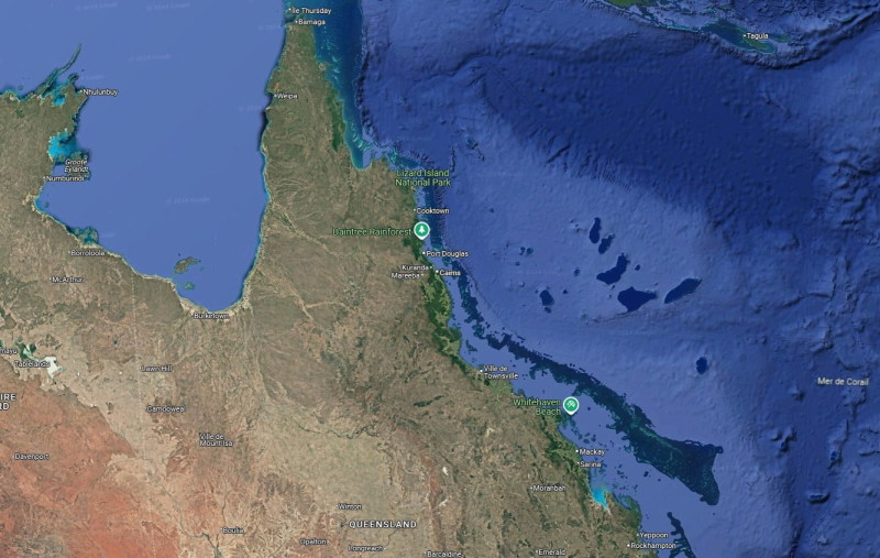 Global alert: Great Barrier Reef faces historic disaster