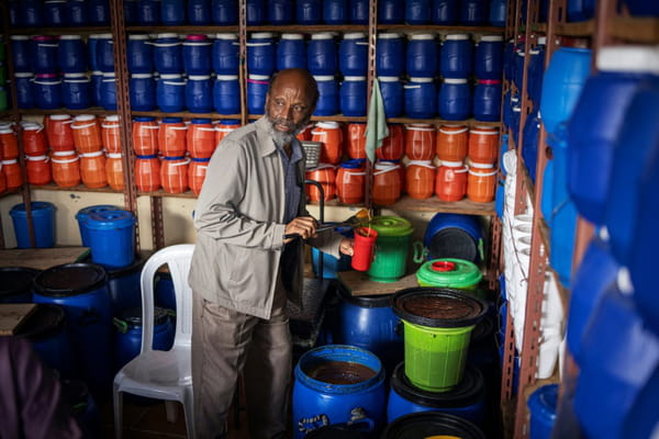 In Ethiopia, Tigray honey tries to regain its colors