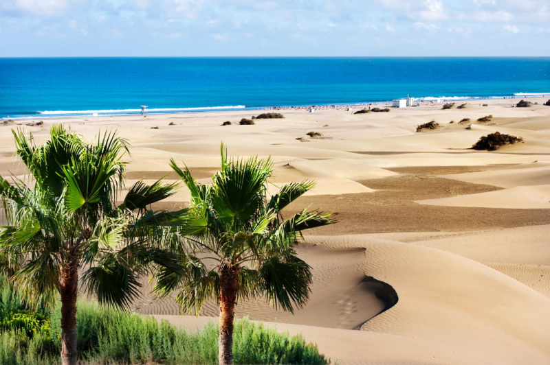 It&#39;s the Sahara by the sea, this unique beach is worth visiting all year round - it&#39;s 25 degrees in the middle of winter!