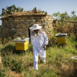 In Ethiopia, Tigray honey tries to regain its colors